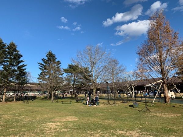 日本・軽井沢「軽井沢 with 犬」の写真:軽井沢プリンスショッピングプラザ。新幹線...
