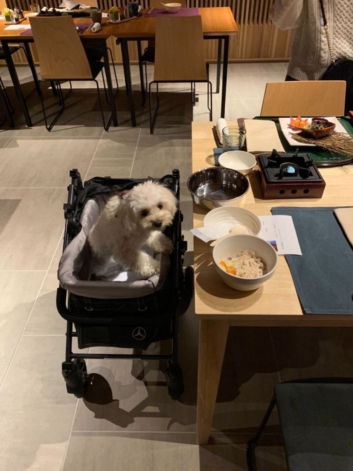 夕飯も犬と一緒です。他のテーブルもほぼ犬と一緒。ここは犬も泊まれるホテルと...