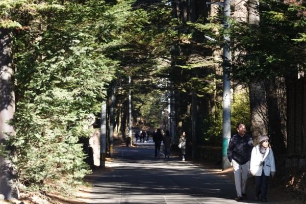 日本・軽井沢「軽井沢 with 犬」の写真:軽井沢の朝。ダウンを着て、冷たい風の中、...