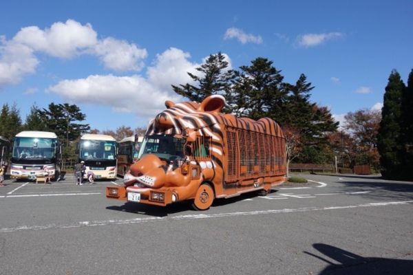 日本・富士サファリパーク「富士サファリパーク」の写真：タイガーバスに乗りジャングルへ。クマ、ラ...