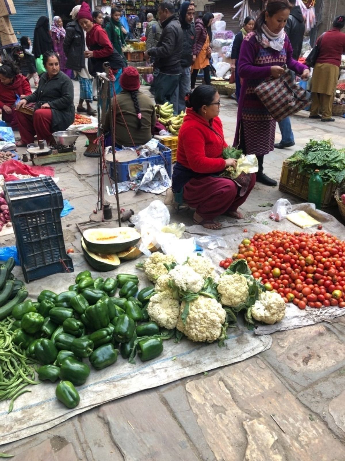 ネパールの野菜でかすぎ。日本ではありえない大きさ。