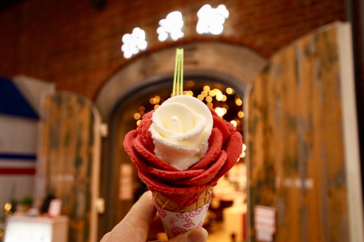 はるばる来たぜ函館！
函館山からの夜景が圧倒的だった！ベイエリアのオレン...