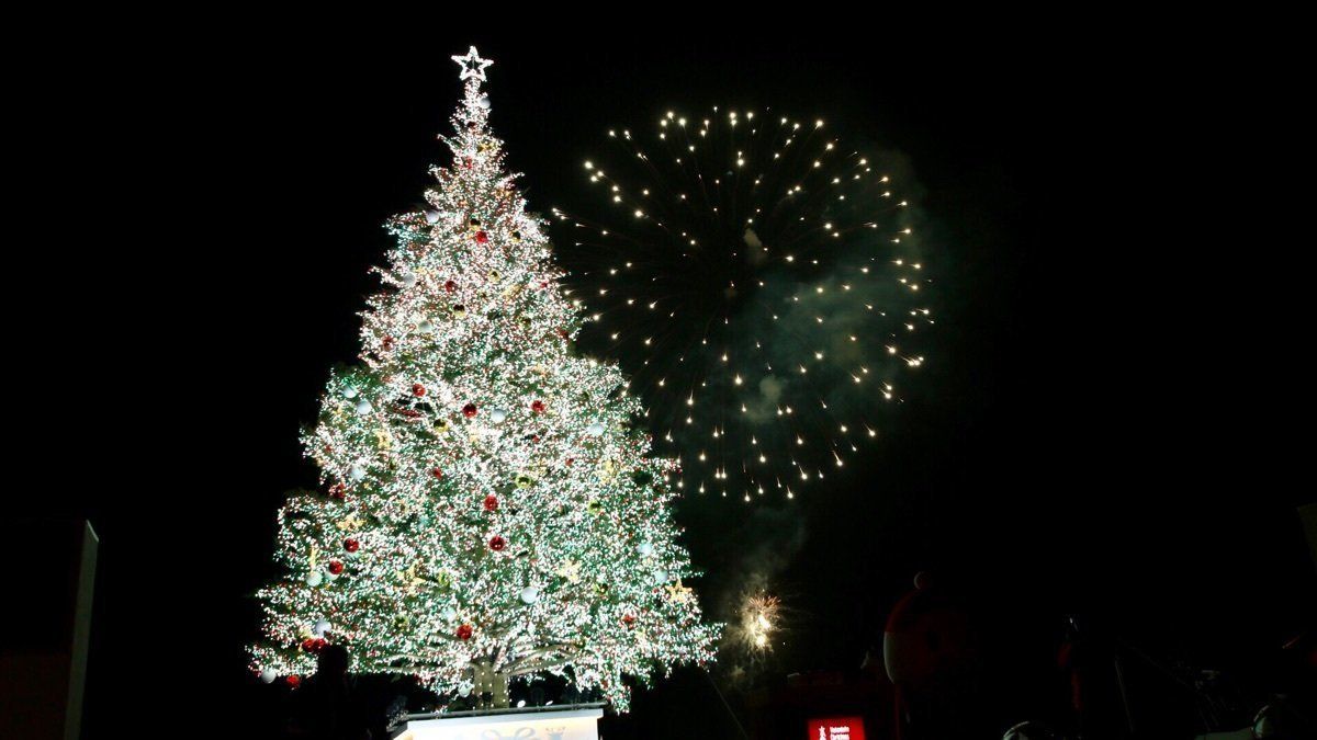 はるばる来たぜ函館！
函館山からの夜景が圧倒的だった！ベイエリアのオレン...
