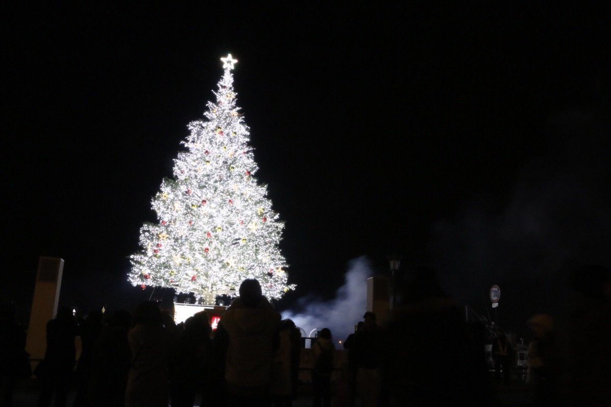 はるばる来たぜ函館！
函館山からの夜景が圧倒的だった！ベイエリアのオレン...