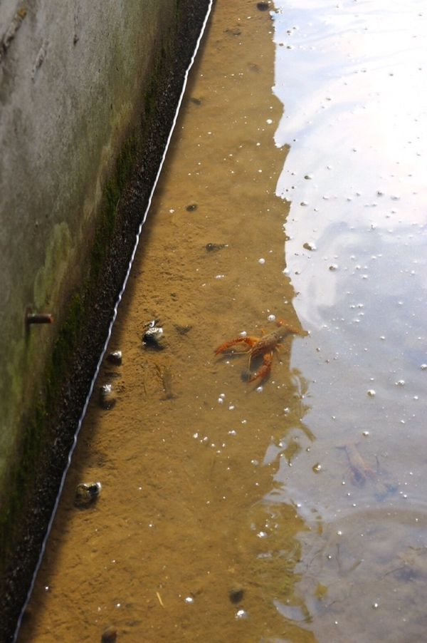 日本・宮城県白石市「白石の夏休み」の写真