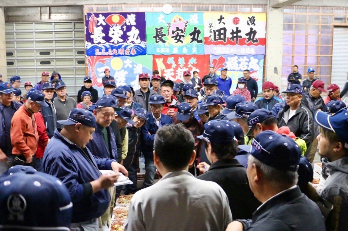 福井県で北陸の冬の味覚、越前がにの初セリを取材。
メスのセイコガニは外子と...