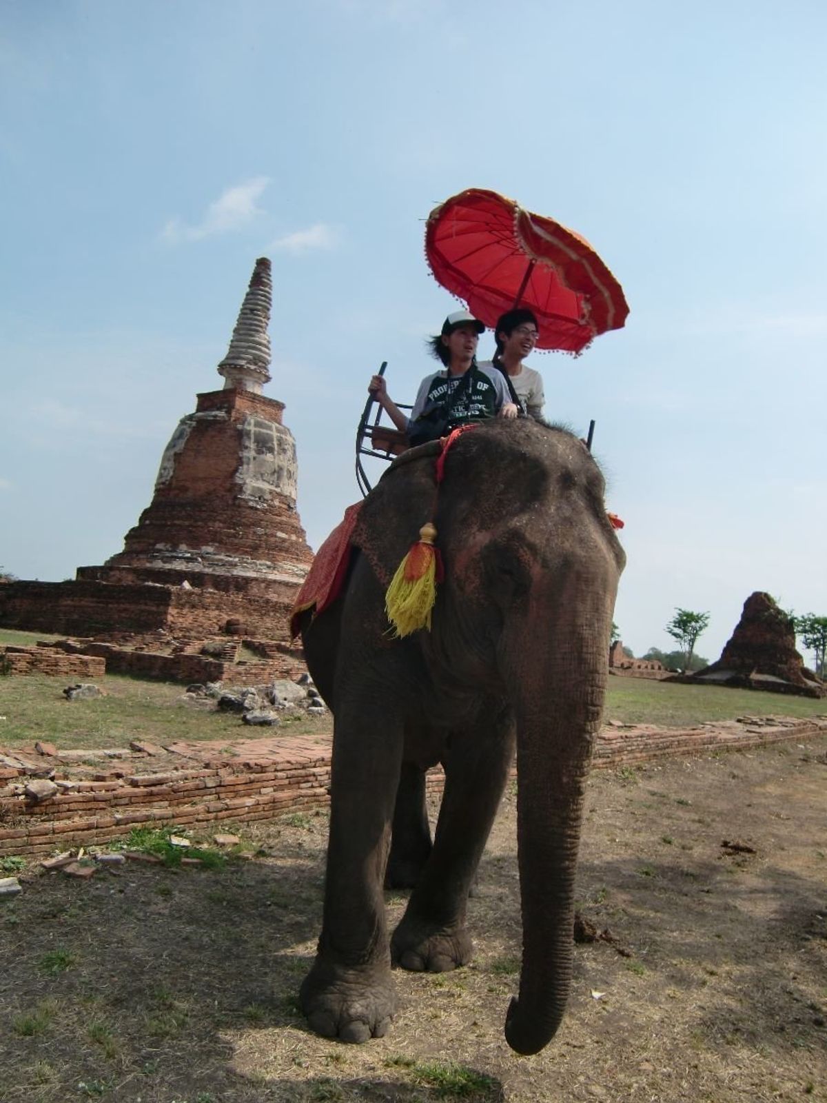タイスキ
遺跡
象
グリーンカレー
仏像