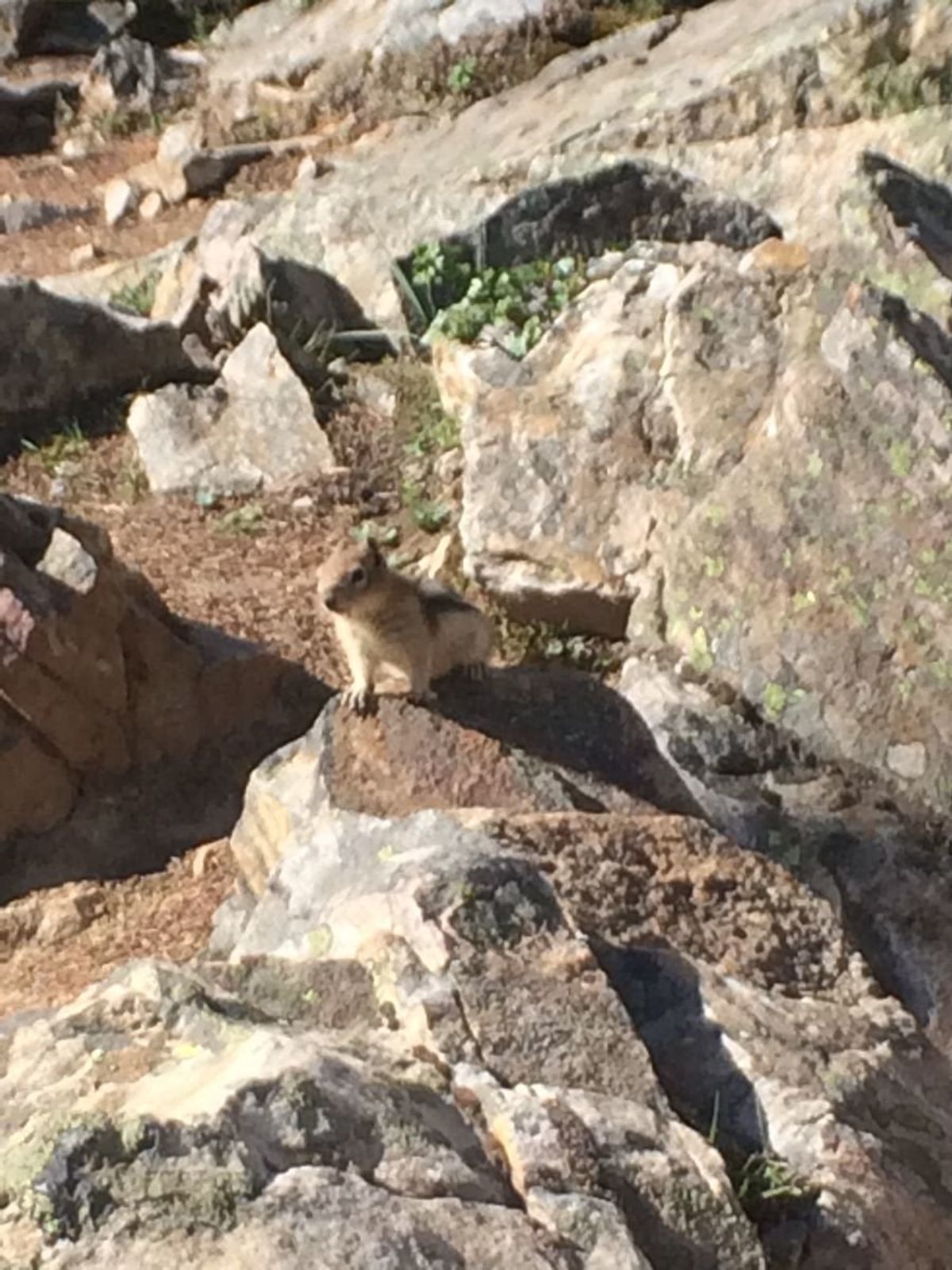 直前のDublin, Irelandで持っていたほとんどの荷物を盗まれ失意...