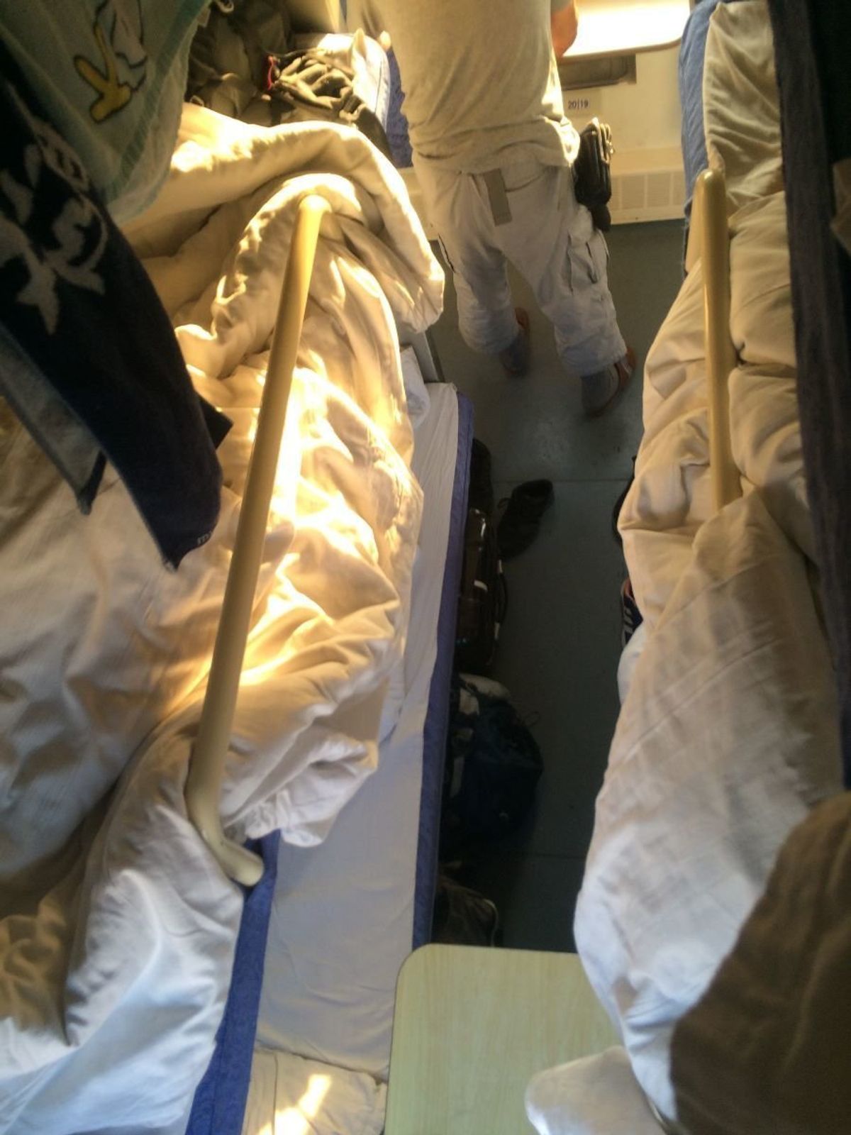 寝台列車
馬
草原
火鍋
羊解体
ゲル