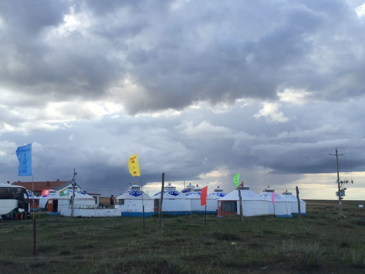 寝台列車
馬
草原
火鍋
羊解体
ゲル