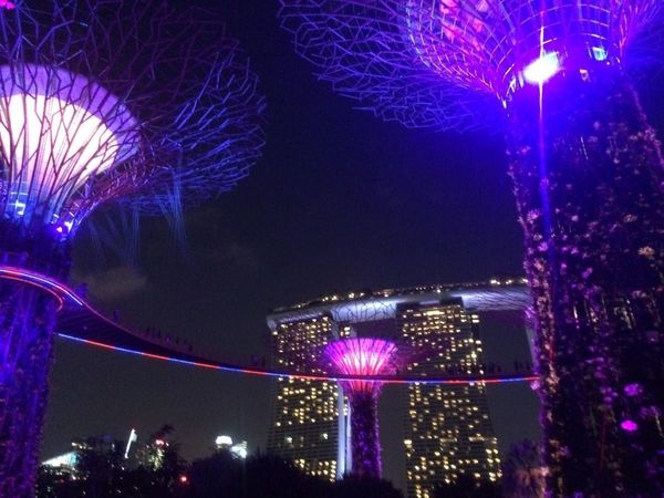 シンガポール「北半球放浪記 2017-18 🇸🇬」の写真
