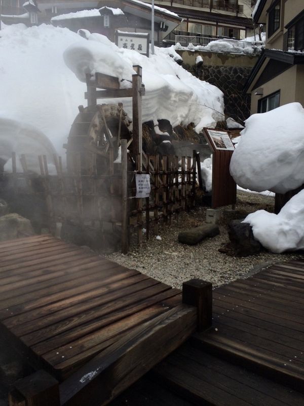 日本・蔵王「山形蔵王 樹氷観覧」の写真：樹氷
温泉