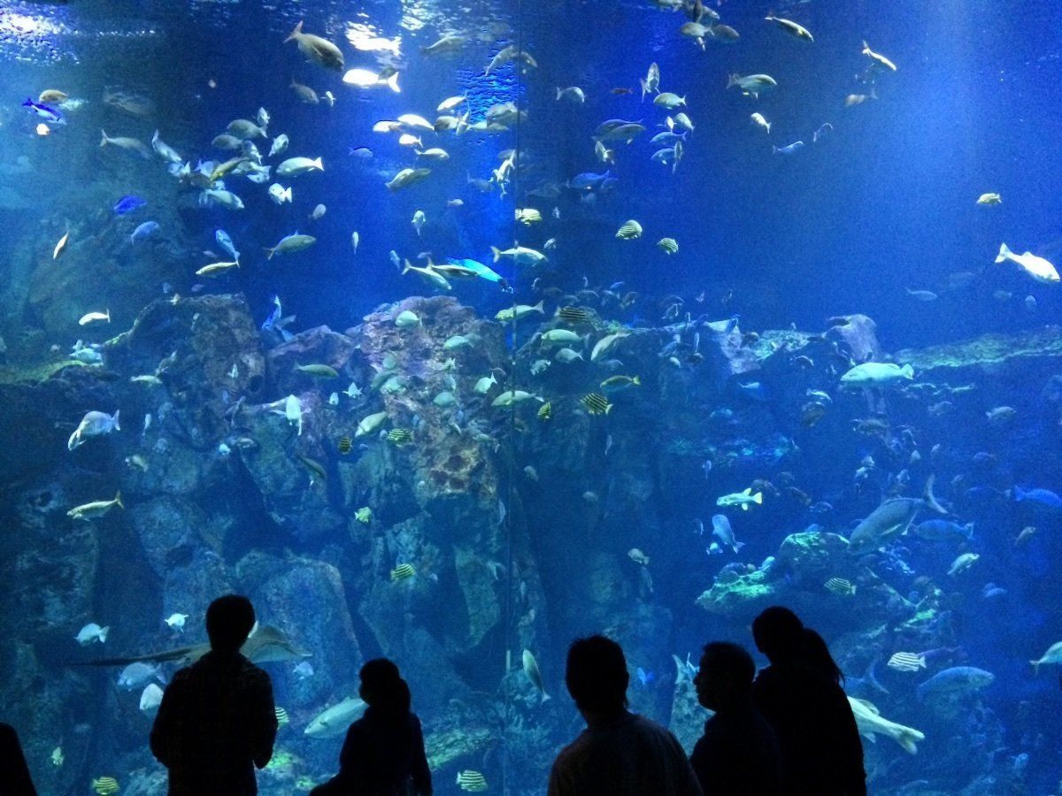 なまはげ
日本海
たつこ