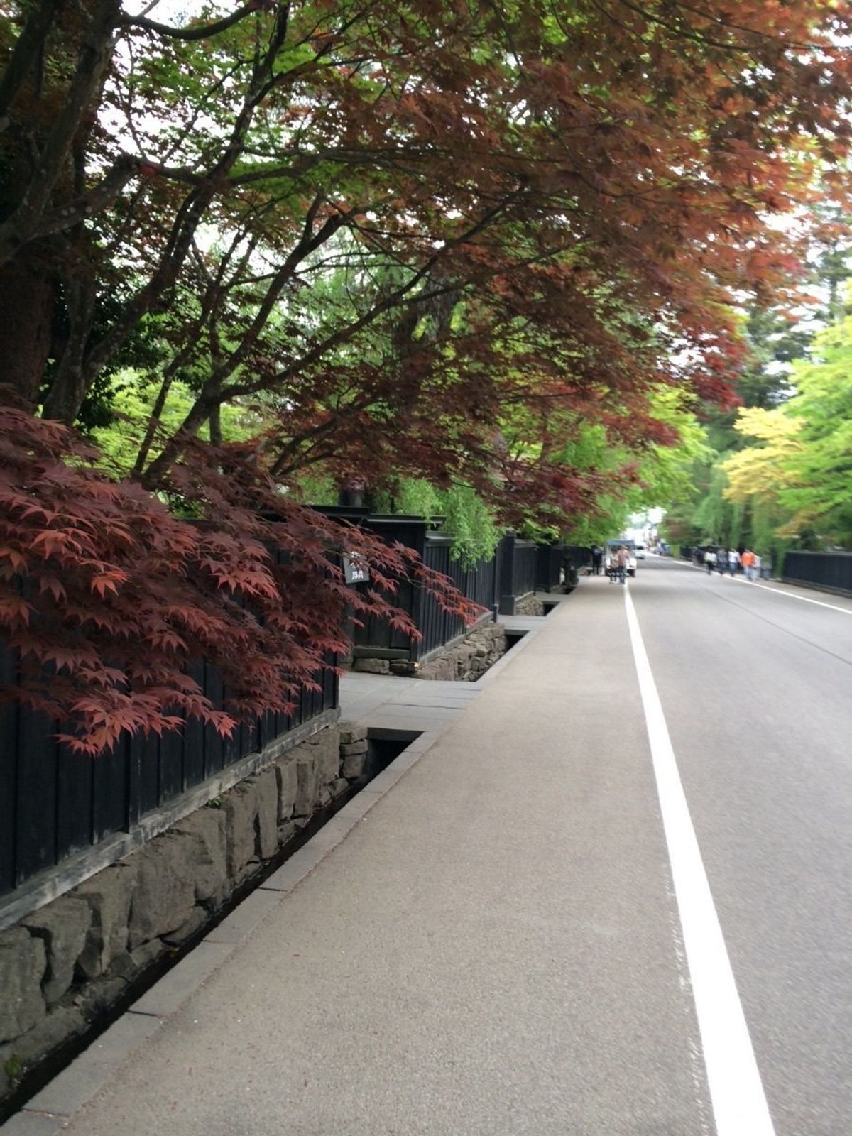 なまはげ
日本海
たつこ