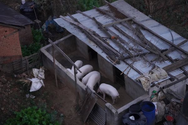 ネパール・カトマンズ「ネパールカトマンズヒマラヤの旅！」の写真：湯たんぽは朝になっても暖かい。ネパールの...