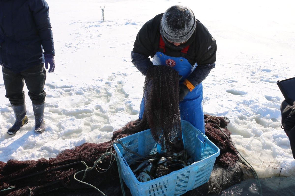 風蓮湖で氷下待網漁とスノーモービルを体験