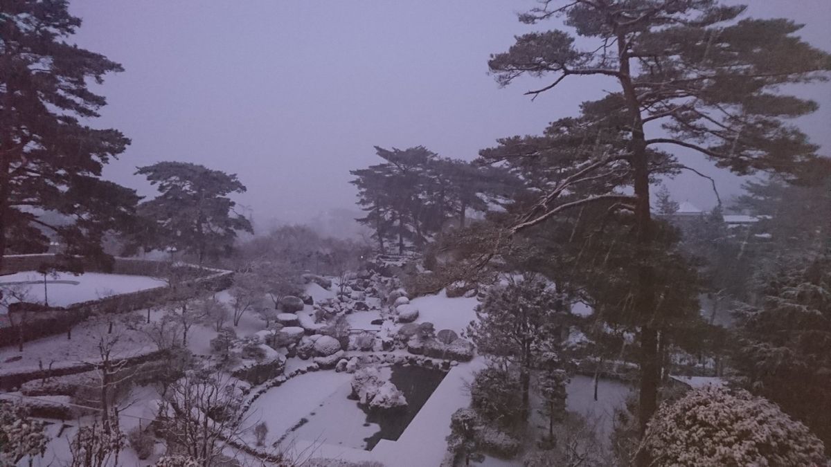 朝起きたら、真っ白