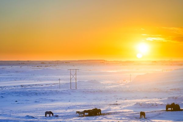アイスランド・レイキャビク「アイスランド、オーロラと温泉の旅」の写真：アイスランドにやっと太陽が昇った。時刻は...