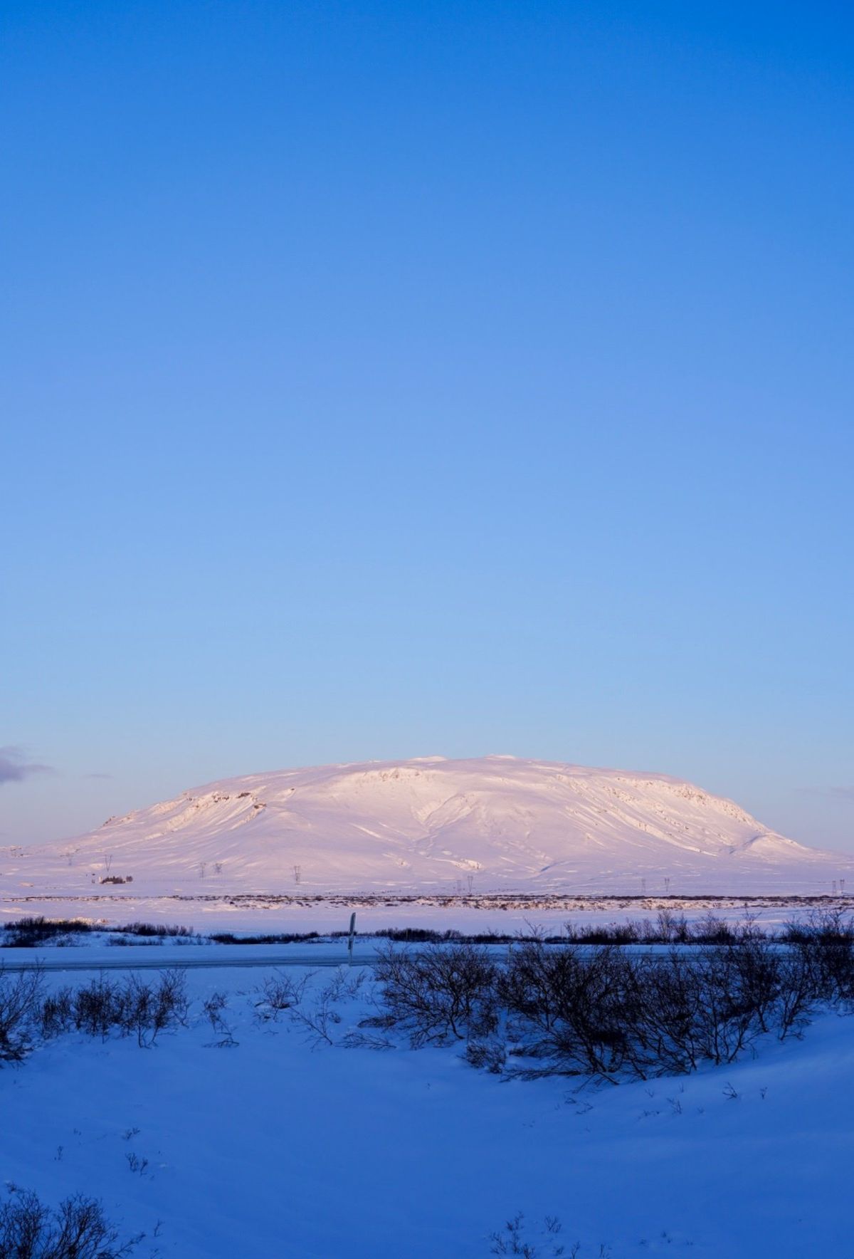アイスランドにやっと太陽が昇った。時刻は午前11時。馬も山も起き出した。