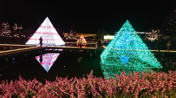 日本・足利フラワーパーク「イルミネーションin足利フラワーパーク」の写真