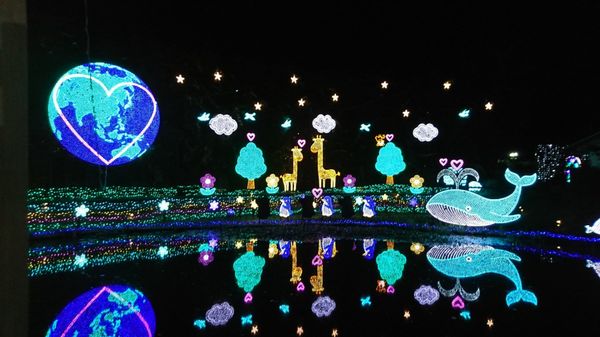 日本・足利フラワーパーク「イルミネーションin足利フラワーパーク」の写真