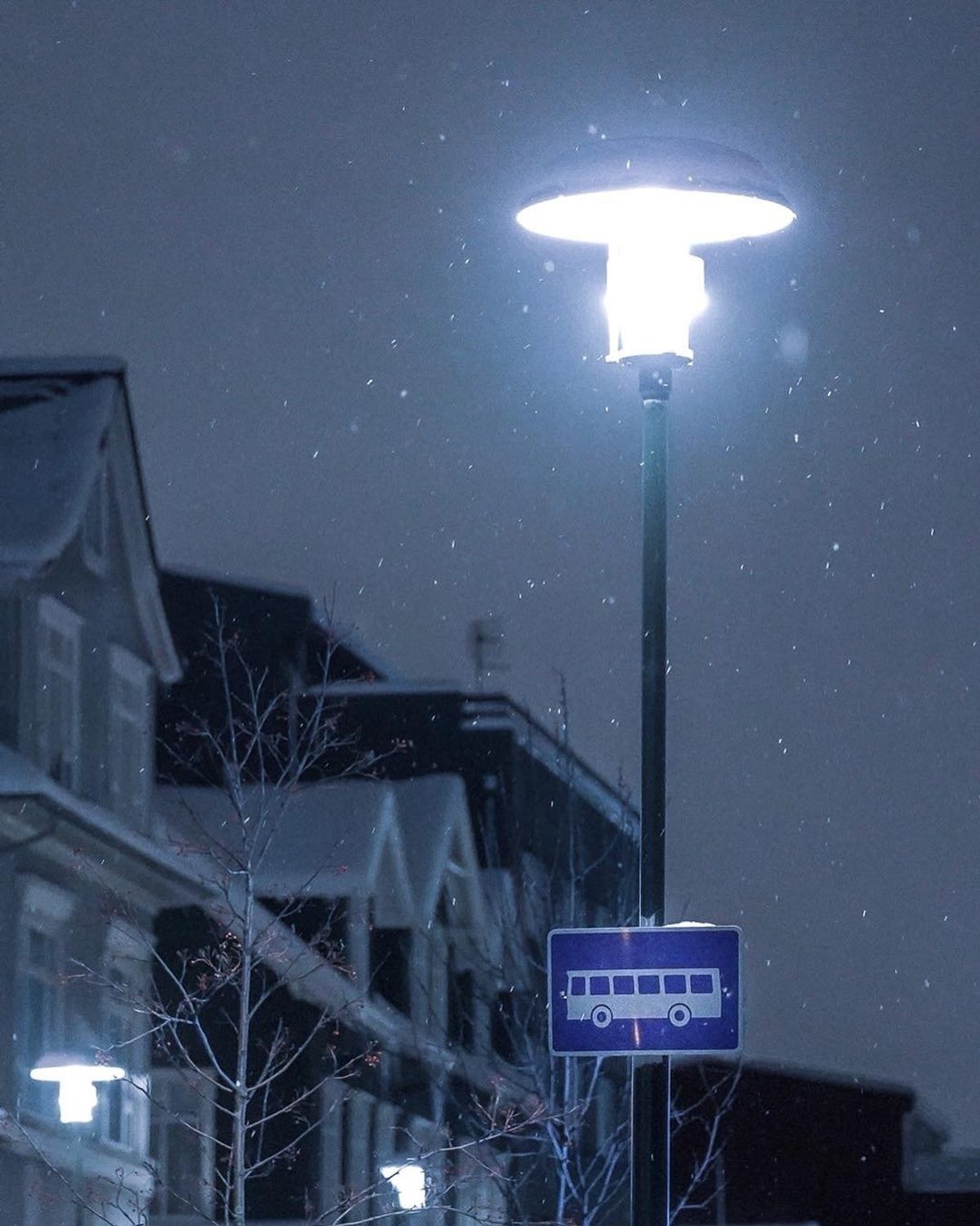 朝6時。ホテルをチェックアウトする。アイスランドはまだまだ深夜帯だ。雪が降...