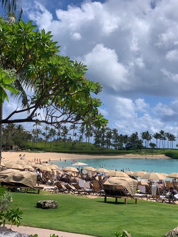 アメリカ(米国)・ハワイ「ハワイ家族旅行」の写真：コオリナに移動。ディズニー混みすぎ！