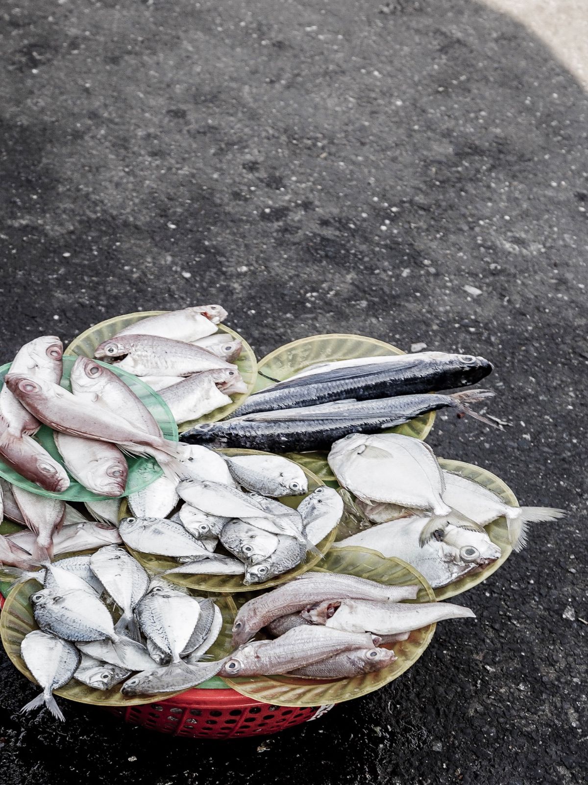 魚の生臭さが漂っている。ホイアン旧市街の外れにホイアン市場がある。その裏手...