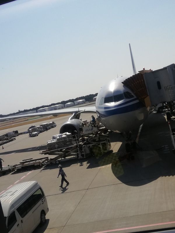 メキシコ・Guadalajara「中南米放浪記 2019 🇲🇽」の写真：元々、仙台ー関空ーホノルルーLA（20h...
