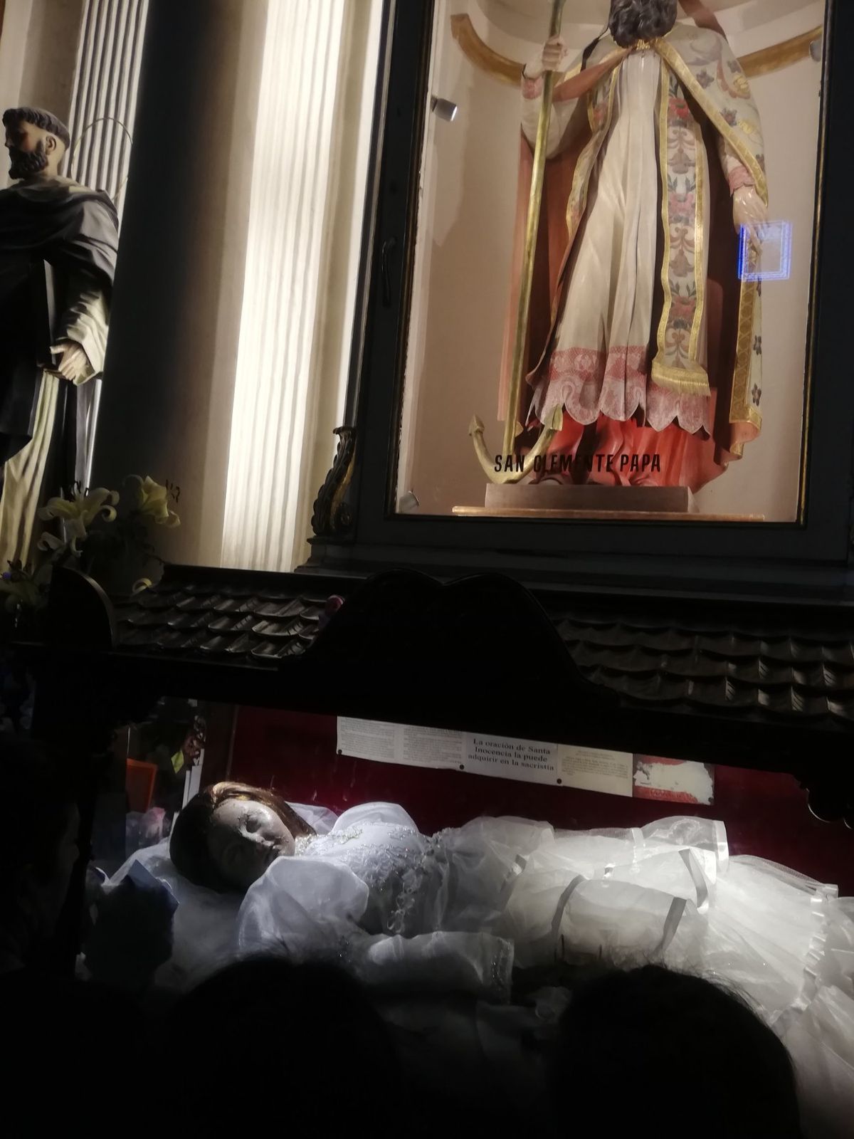 ステイ先から散歩がてらcentroまで。
メキシコの桜jacarandaが...