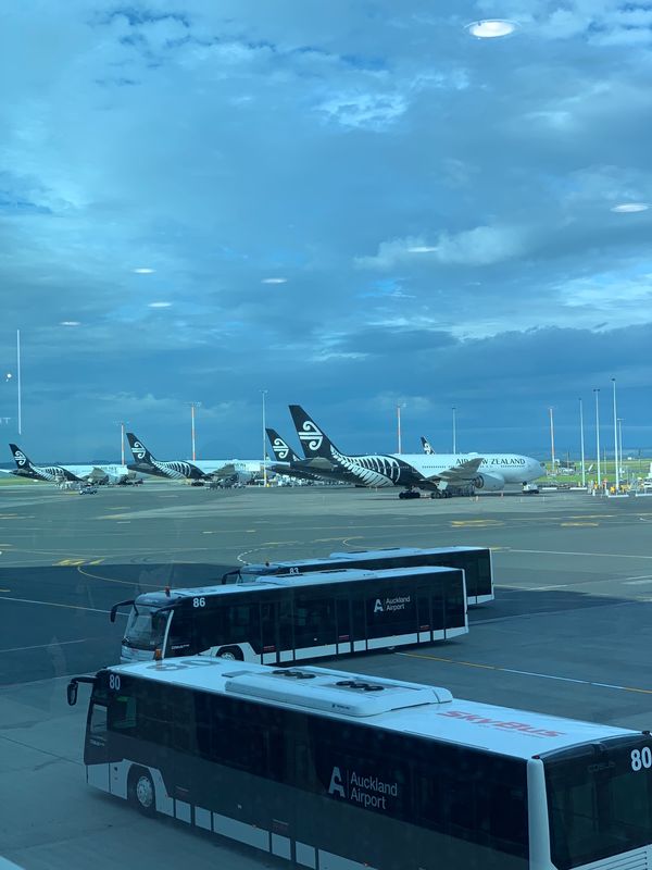 ニュージーランド・ワイトモ「ニュージーランド レンタカーで行き当たりばったりの旅」の写真：ニュージーランド到着！