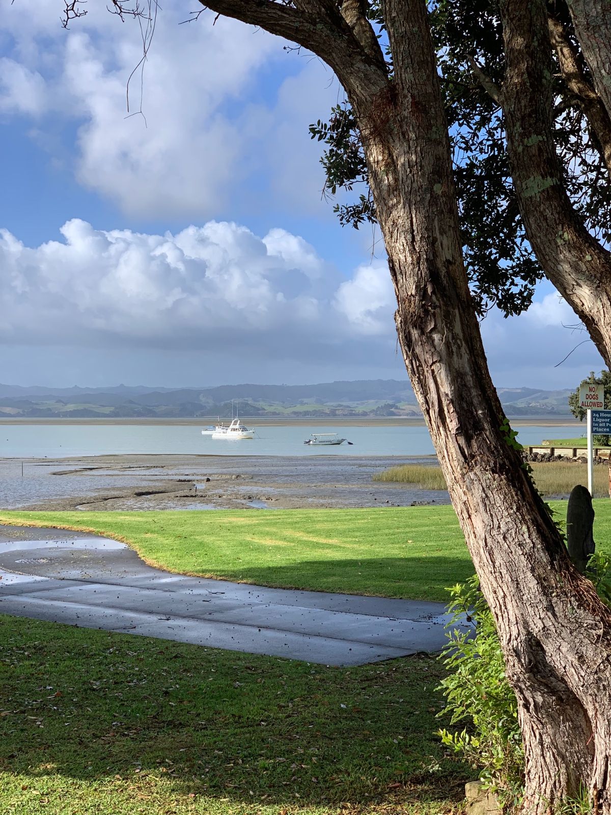 Kawhiaというなしの外れの街にくる。フットウォーターがあるとかないとか？