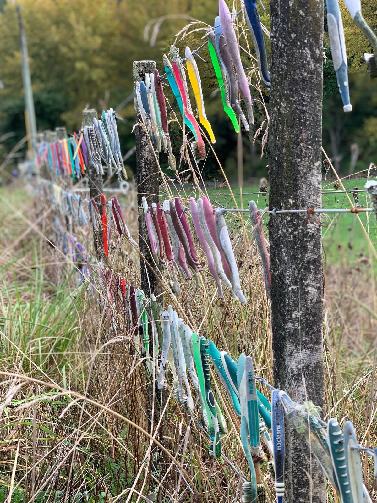 歯ブラシ祭り。
Googleの評価4.4