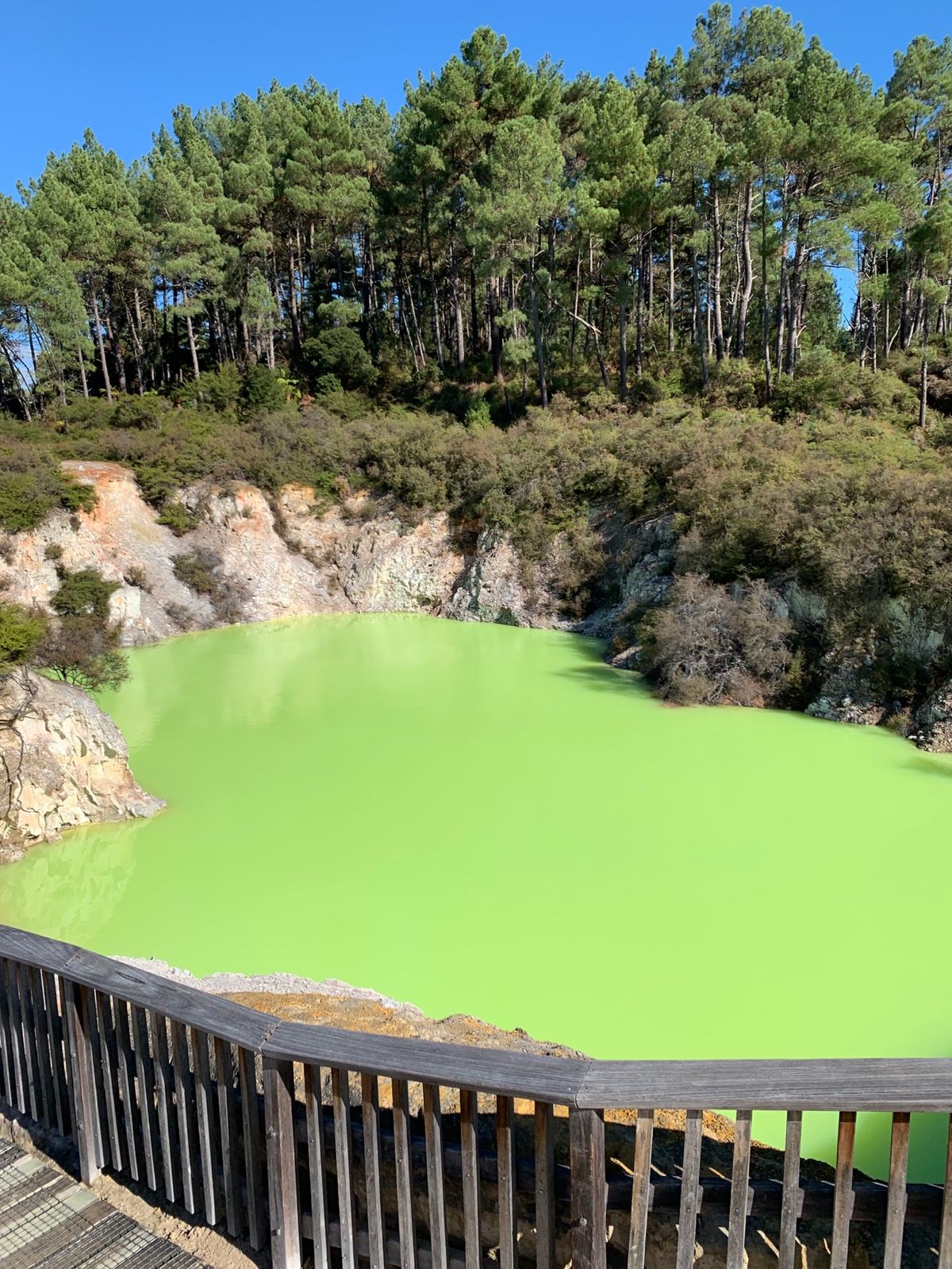 ロトルア、ワイオータプ。
自然感やばない？水の色もやばい。