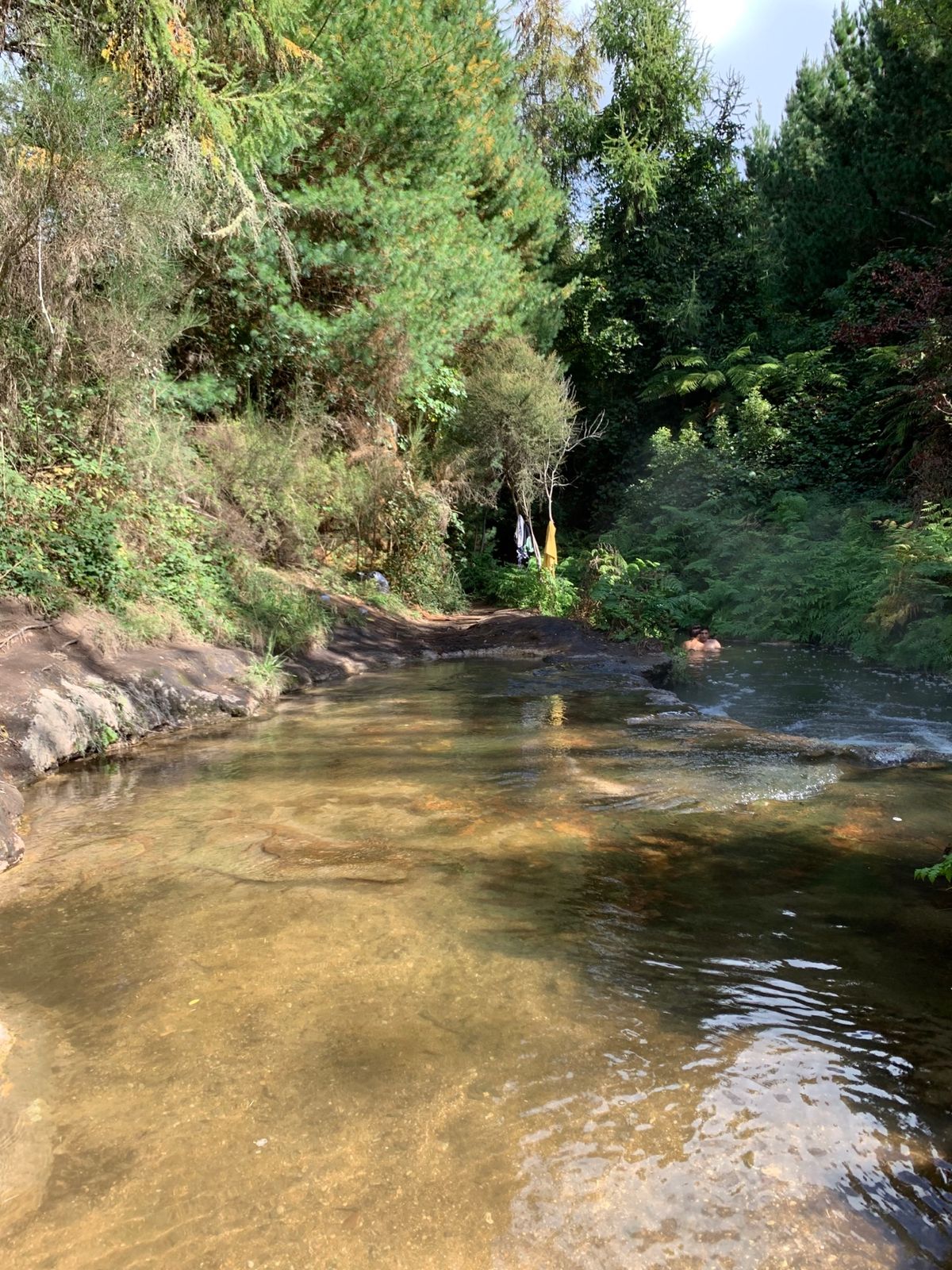 野生の温泉、Kerosene Creekへ。
ちょっと小さいし汚い…けど温...
