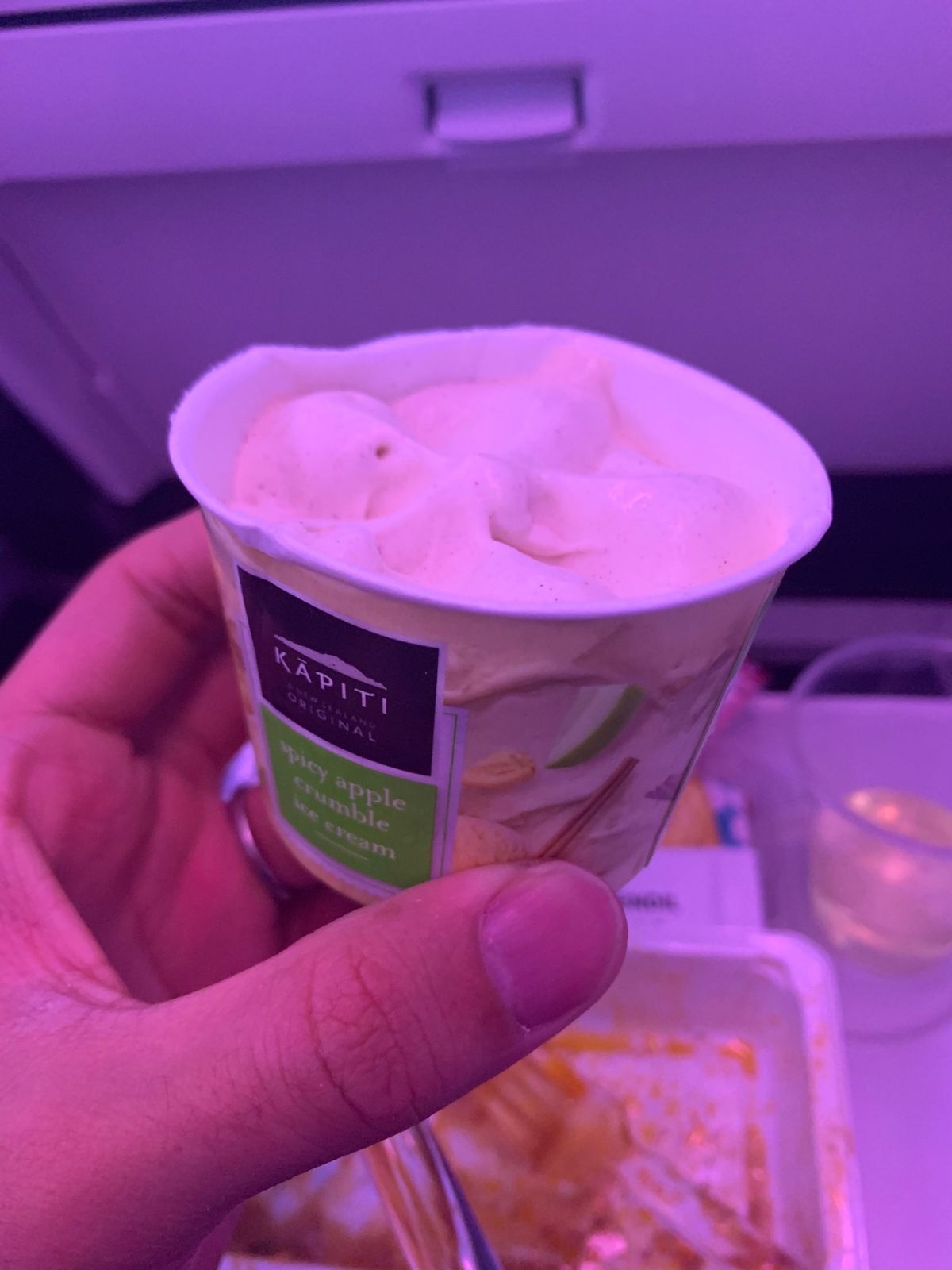 最後の機内食。
このアイスとこのケーキだけはクソ美味かった。
