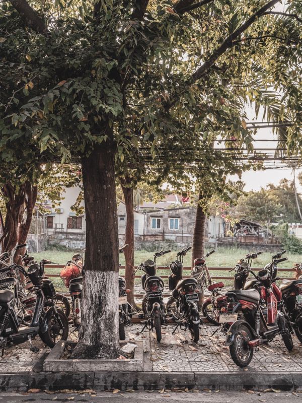 ベトナム・ダナン「ベトナム　ダナン・ホイアン」の写真：ベトナムとバイク。ホーチミンやハノイを訪...