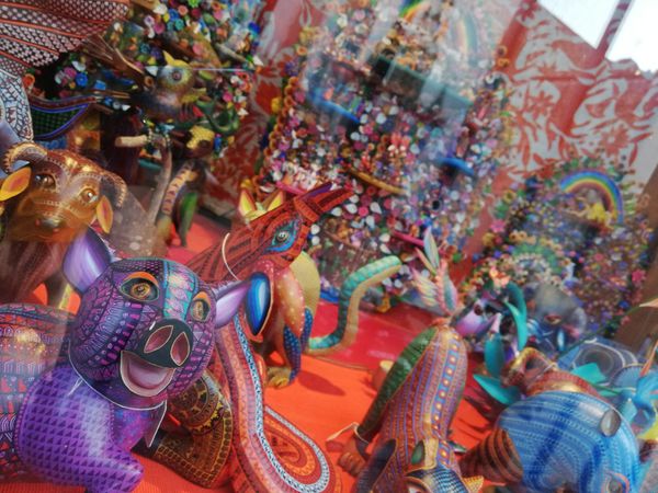 メキシコ・Guadalajara「中南米放浪記 2019 🇲🇽」の写真：メキシコ人が住みたい街第3位にランクする...