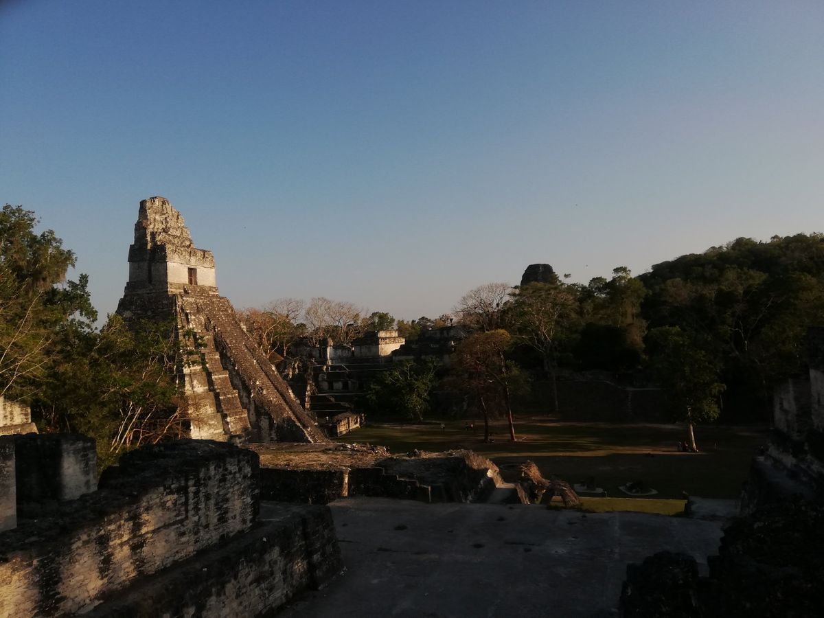 マヤの遺跡ティカル。ジャングルの中に突如姿を表す神殿群は遺跡感満載。自然保...