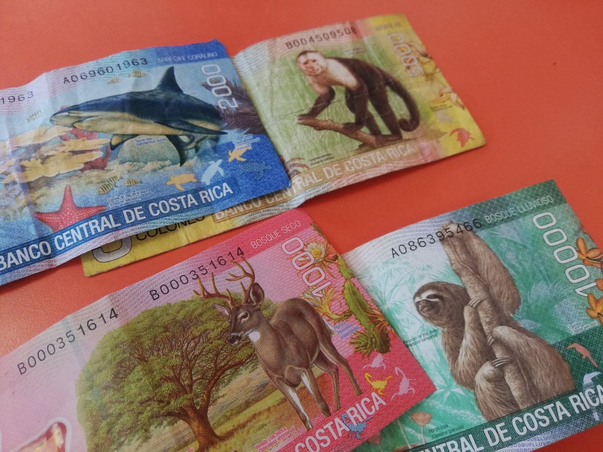 軍隊を持たず、教育や自然保護に力を入れており、国民の幸福度も常に世界トップ...