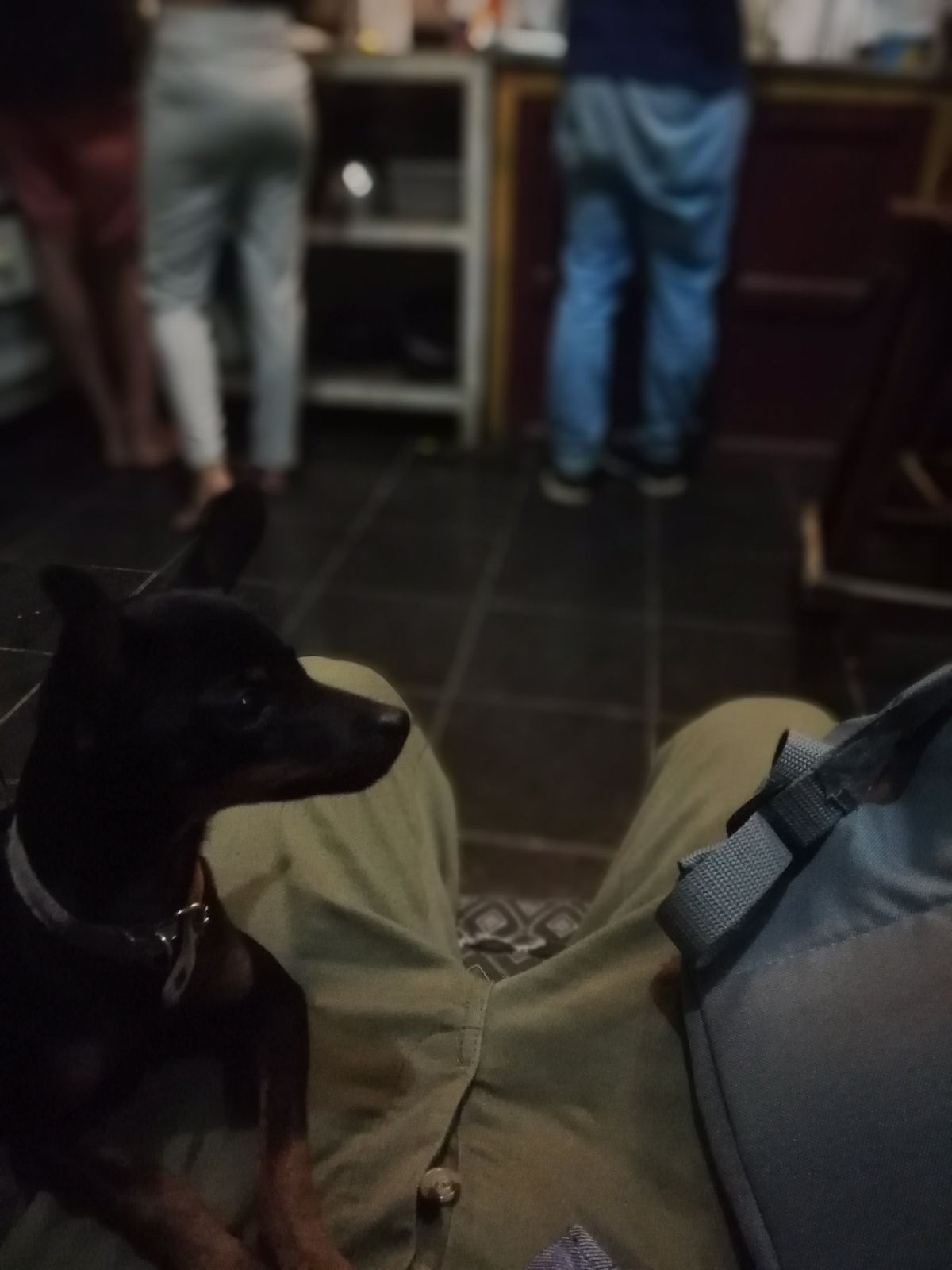 ナマケモノ、そして幻の鳥ケツァール狙いで鬱蒼とした熱帯雲林を歩き回るも、そ...