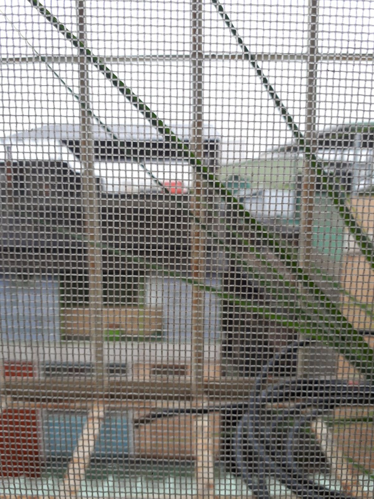 移動日に限って雨。と言うか実際にはもっと雨が降りがちらしいので、たまたま天...