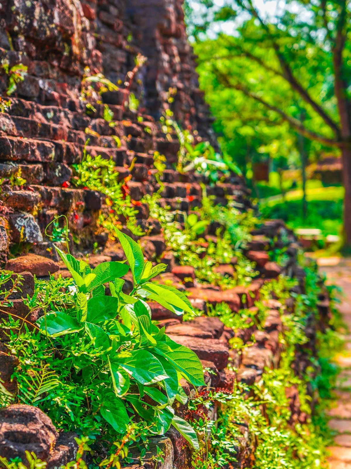ミーソン遺跡には3,4組の観光客しかいなかった。とても静かだ。遺跡はベトナ...