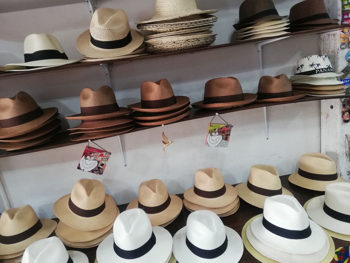 世界の十字路パナマシティ。新市街には高層ビルが立ち並び、一方の旧市街も外装...