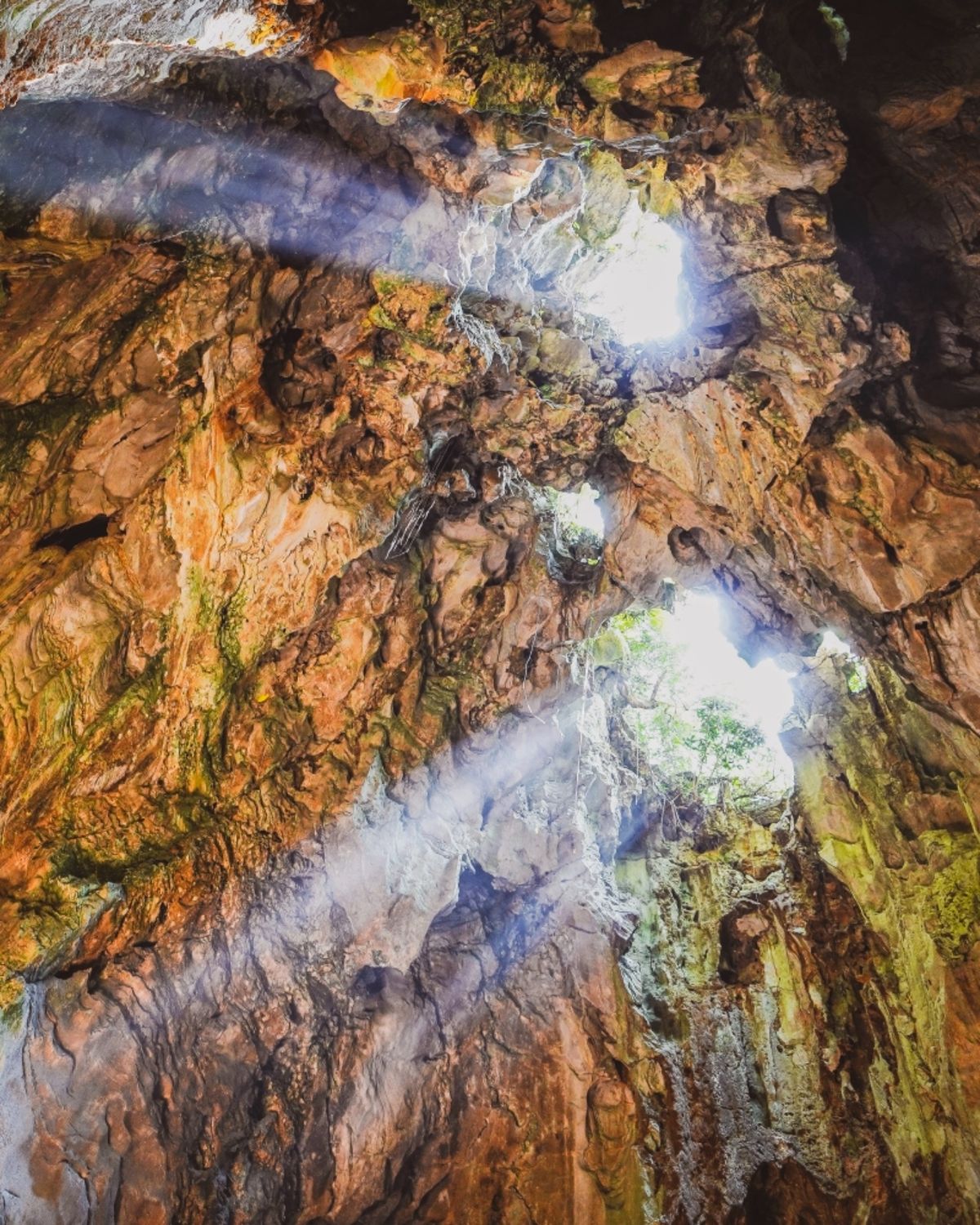 洞窟の最深部は五行山の中で一番の大きさだった。天井は高く穴が空いている。そ...