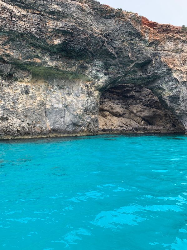 マルタ「マルタ島一人旅」の写真:めちゃくちゃ透明度高い!
