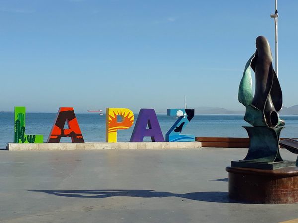 メキシコ・LaPaz「メキシコ北部の旅☆」の写真：ビーチでのんびりが一番！
でも、起きた...