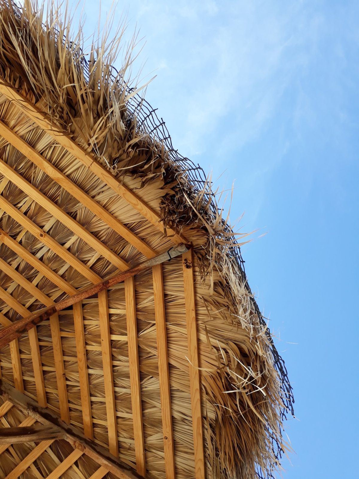 ビーチでのんびりが一番！
でも、起きたら真っ黒に...(;^ω^)　