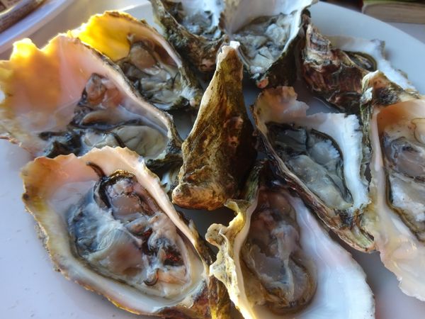 メキシコ・LaPaz「メキシコ北部の旅☆」の写真：本当は、Almejas chocolat...