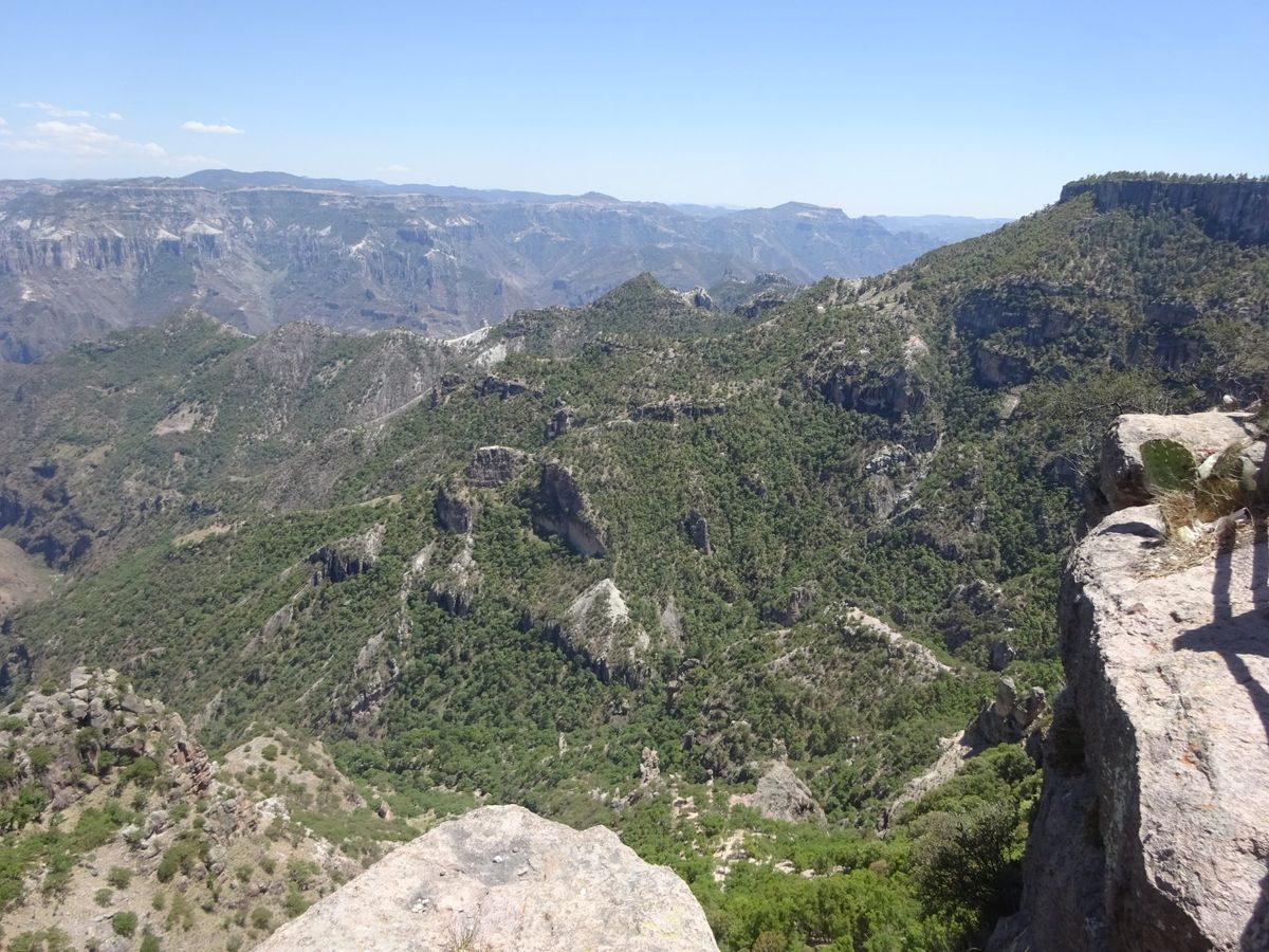 早朝、ChepeでLos MochisからCreelに向かう。山の中をひた...